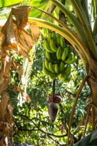 blog_oman_20150216_121322 blog_oman_20150216_121322