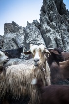 blog_oman_20150216_161651 blog_oman_20150216_161651