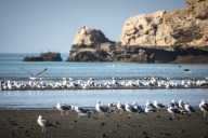 blog_oman_20150217_151242 blog_oman_20150217_151242