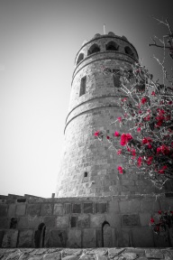 blog_oman_20150217_155541 blog_oman_20150217_155541