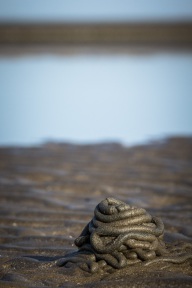 blog_oman_20150217_162341 blog_oman_20150217_162341