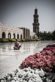 blog_oman_20150218_104345 blog_oman_20150218_104345