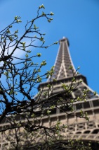 blog_paris_20130325_154829 blog_paris_20130325_154829