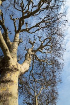 blog_paris_20130325_161514 blog_paris_20130325_161514