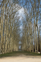 blog_paris_20130327_113533 blog_paris_20130327_113533