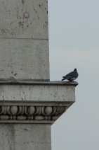 blog_paris_20130325_182427 blog_paris_20130325_182427