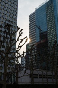 blog_paris_20130328_164958 blog_paris_20130328_164958