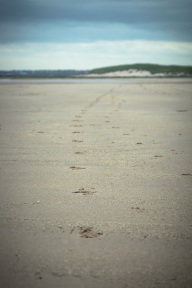 blog_schottland_20130707_095844 blog_schottland_20130707_095844