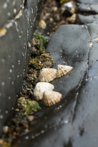 blog_schottland_20130707_100918 blog_schottland_20130707_100918