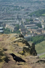 blog_schottland_20130708_123655 blog_schottland_20130708_123655