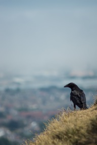 blog_schottland_20130708_123737 blog_schottland_20130708_123737
