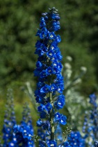 blog_schottland_20130708_145803 blog_schottland_20130708_145803