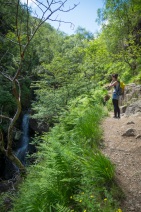 blog_schottland_20130710_130905 blog_schottland_20130710_130905