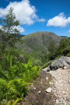 blog_schottland_20130710_132749 blog_schottland_20130710_132749