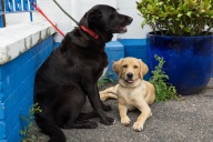 blog_schottland_20130711_142255 blog_schottland_20130711_142255