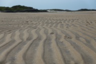 blog_schottland_20130711_123202 blog_schottland_20130711_123202