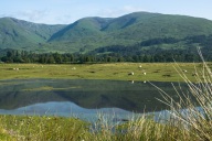 blog_schottland_20130711_083014 blog_schottland_20130711_083014