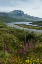 blog_schottland_20130712_083315 blog_schottland_20130712_083315