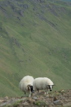 blog_schottland_20130712_110535 blog_schottland_20130712_110535