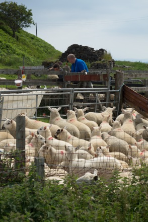 blog_schottland_20130712_124309 blog_schottland_20130712_124309