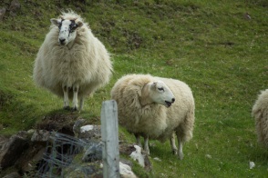 blog_schottland_20130712_124625 blog_schottland_20130712_124625