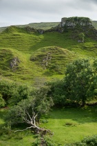 blog_schottland_20130712_164820 blog_schottland_20130712_164820