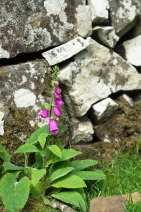 blog_schottland_20130712_165145 blog_schottland_20130712_165145