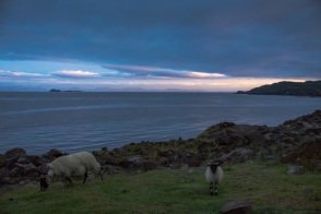 blog_schottland_20130713_051003 blog_schottland_20130713_051003