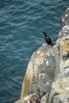 blog_schottland_20130713_120832 blog_schottland_20130713_120832