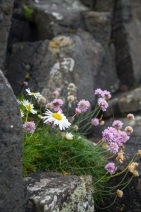 blog_schottland_20130713_121721 blog_schottland_20130713_121721