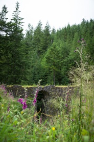 blog_schottland_20130714_090948 blog_schottland_20130714_090948