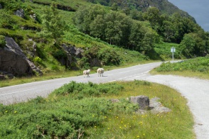blog_schottland_20130715_111352 blog_schottland_20130715_111352