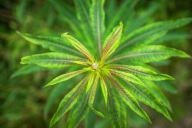 blog_schottland_20130715_122723 blog_schottland_20130715_122723