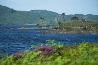 blog_schottland_20130716_115144 blog_schottland_20130716_115144