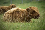 blog_schottland_20130716_170748 blog_schottland_20130716_170748
