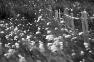 blog_schottland_20130717_105410 blog_schottland_20130717_105410