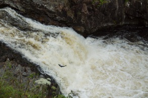 blog_schottland_20130717_131942 blog_schottland_20130717_131942