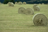 blog_schottland_20130717_140416 blog_schottland_20130717_140416
