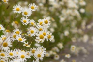 blog_schottland_20130717_140526 blog_schottland_20130717_140526