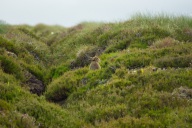 blog_schottland_20130718_083016 blog_schottland_20130718_083016