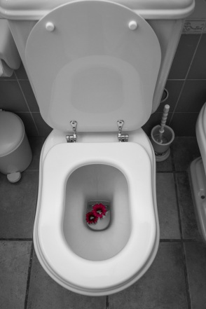 blog_teneriffa_20140727_003323 blog_teneriffa_20140727_003323