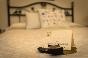 blog_teneriffa_20140727_003908 blog_teneriffa_20140727_003908