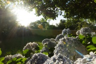 blog_teneriffa_20140727_081546 blog_teneriffa_20140727_081546