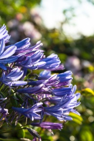 blog_teneriffa_20140727_082121 blog_teneriffa_20140727_082121