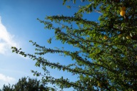 blog_teneriffa_20140727_090357 blog_teneriffa_20140727_090357