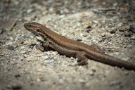 blog_teneriffa_20140727_150135 blog_teneriffa_20140727_150135