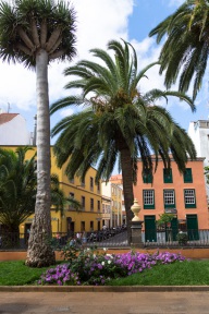 blog_teneriffa_20140728_113032 blog_teneriffa_20140728_113032