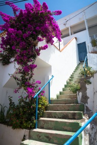 blog_teneriffa_20140728_132242 blog_teneriffa_20140728_132242