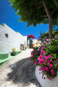 blog_teneriffa_20140728_132452 blog_teneriffa_20140728_132452