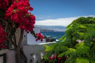 blog_teneriffa_20140728_132535 blog_teneriffa_20140728_132535